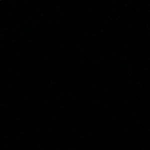 Meet your Posher, Raven